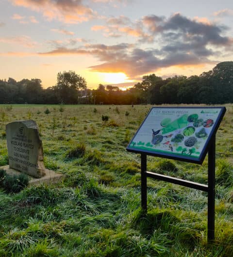 Carr Manor Fields Playground
