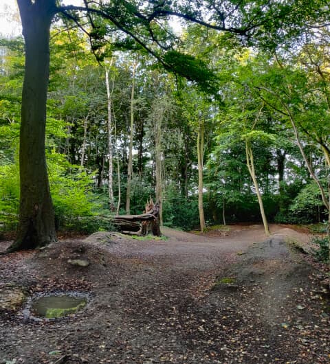 Ridge Plantation Meanwood