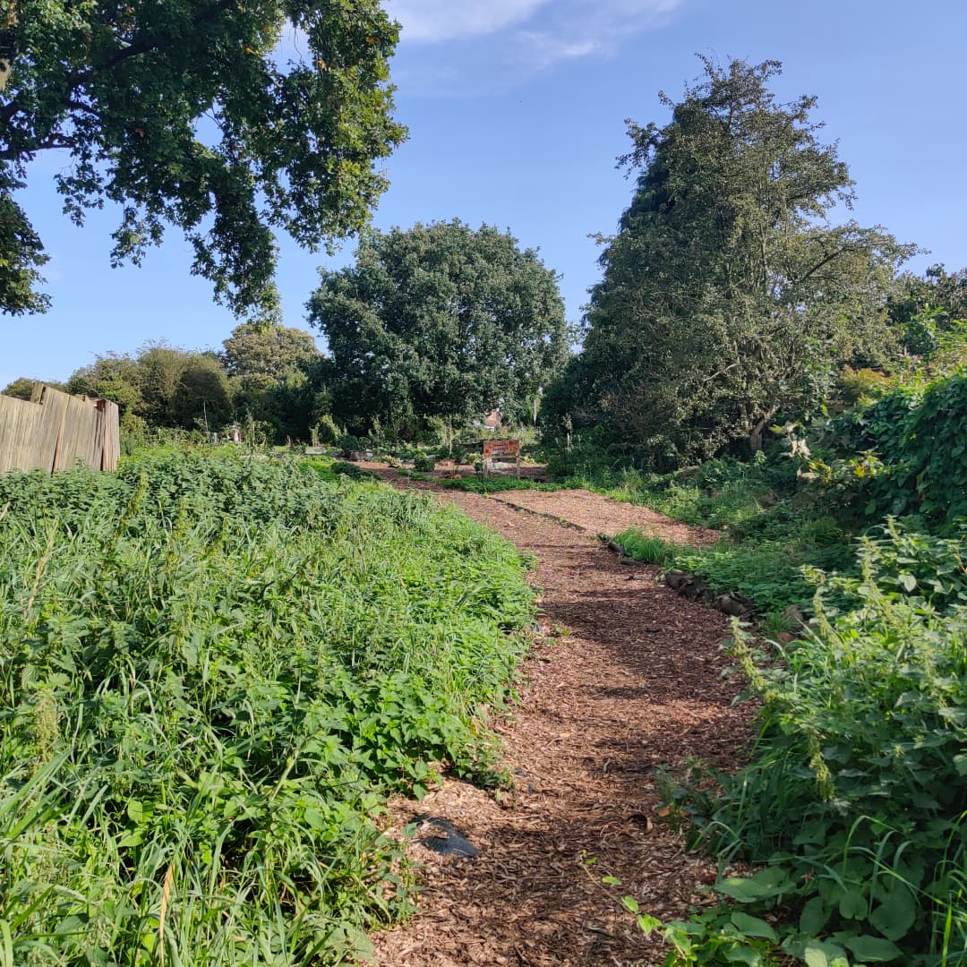 Seacroft Forest Garden