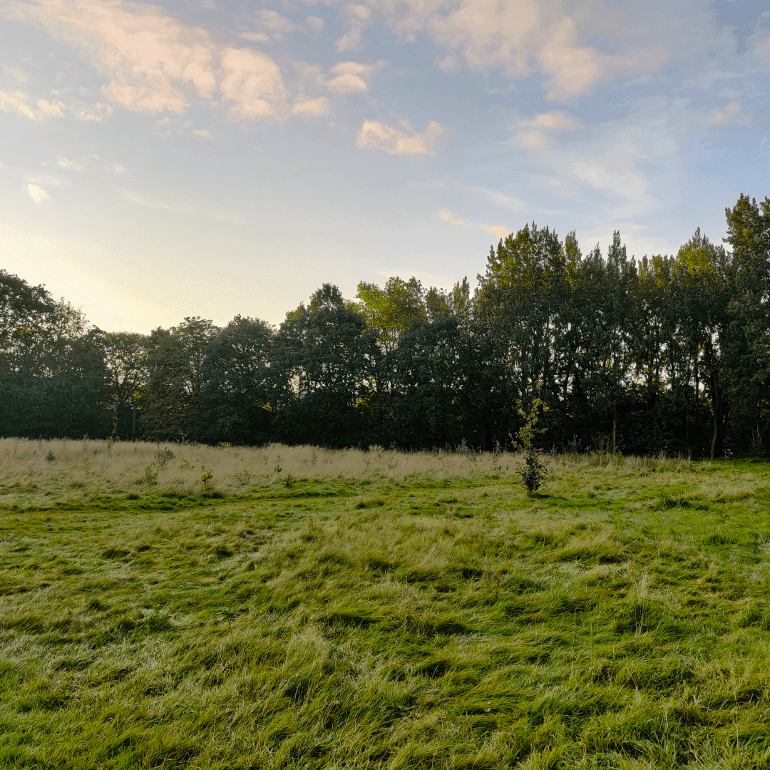 Guru Nanak Woodlands
