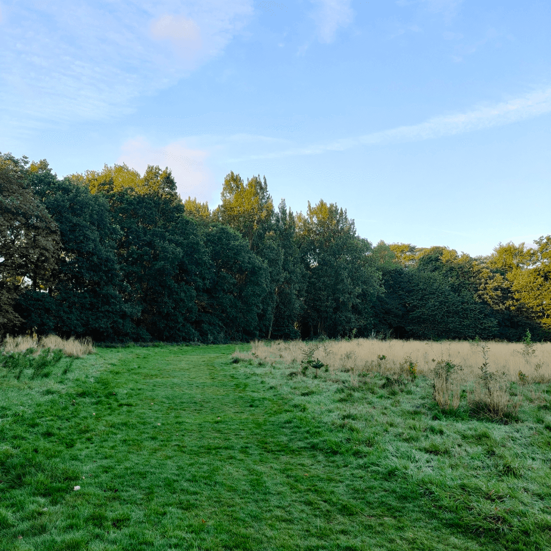 Guru Nanak Woodlands