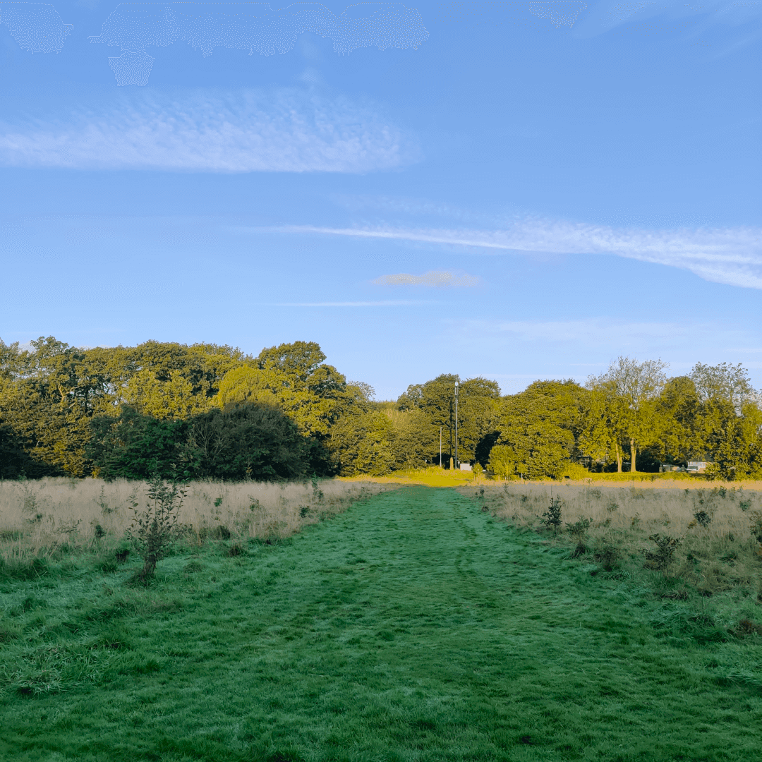 Guru Nanak Woodlands