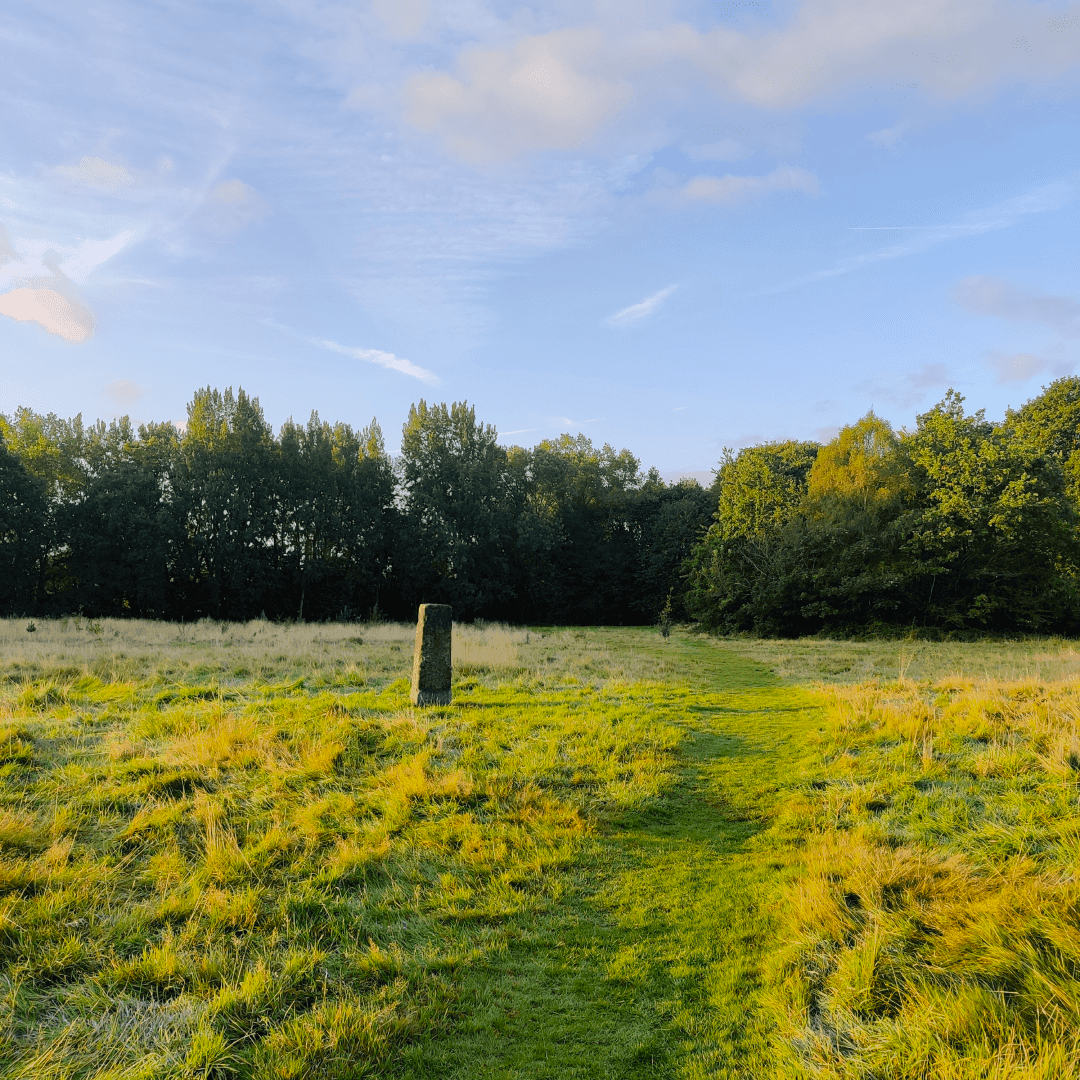 Guru Nanak Woodlands