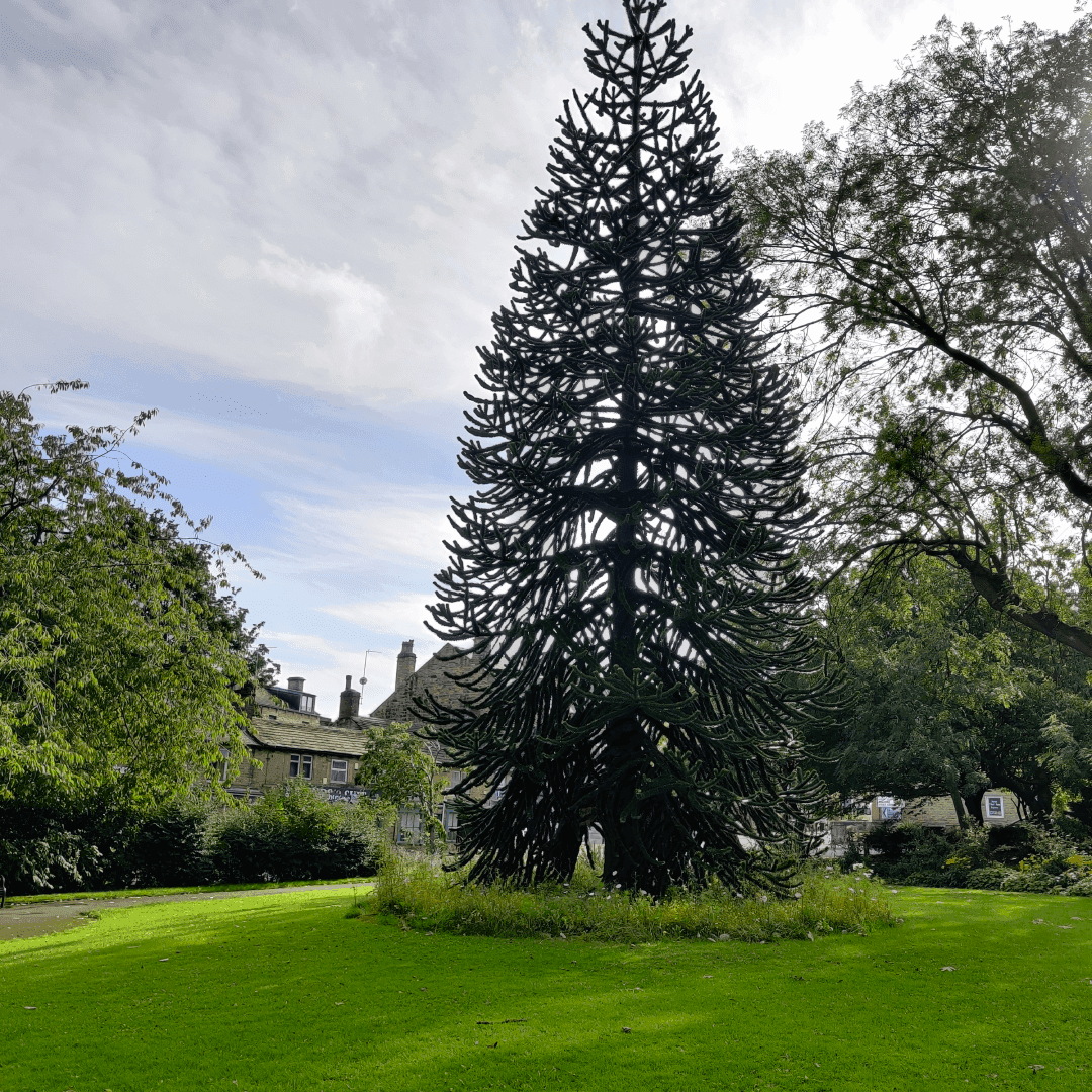 Hopkins Gardens