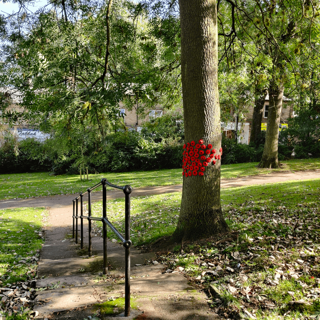 Scratcherd Park