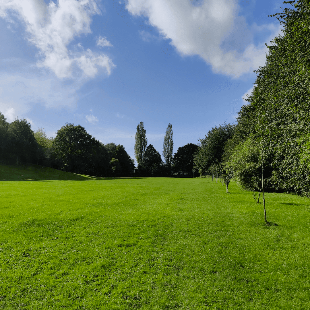 Scratcherd Park