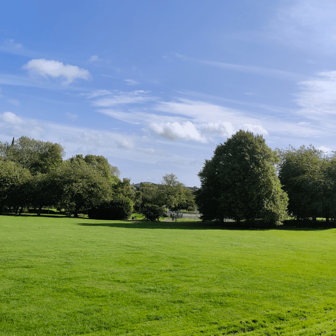 Scratcherd Park