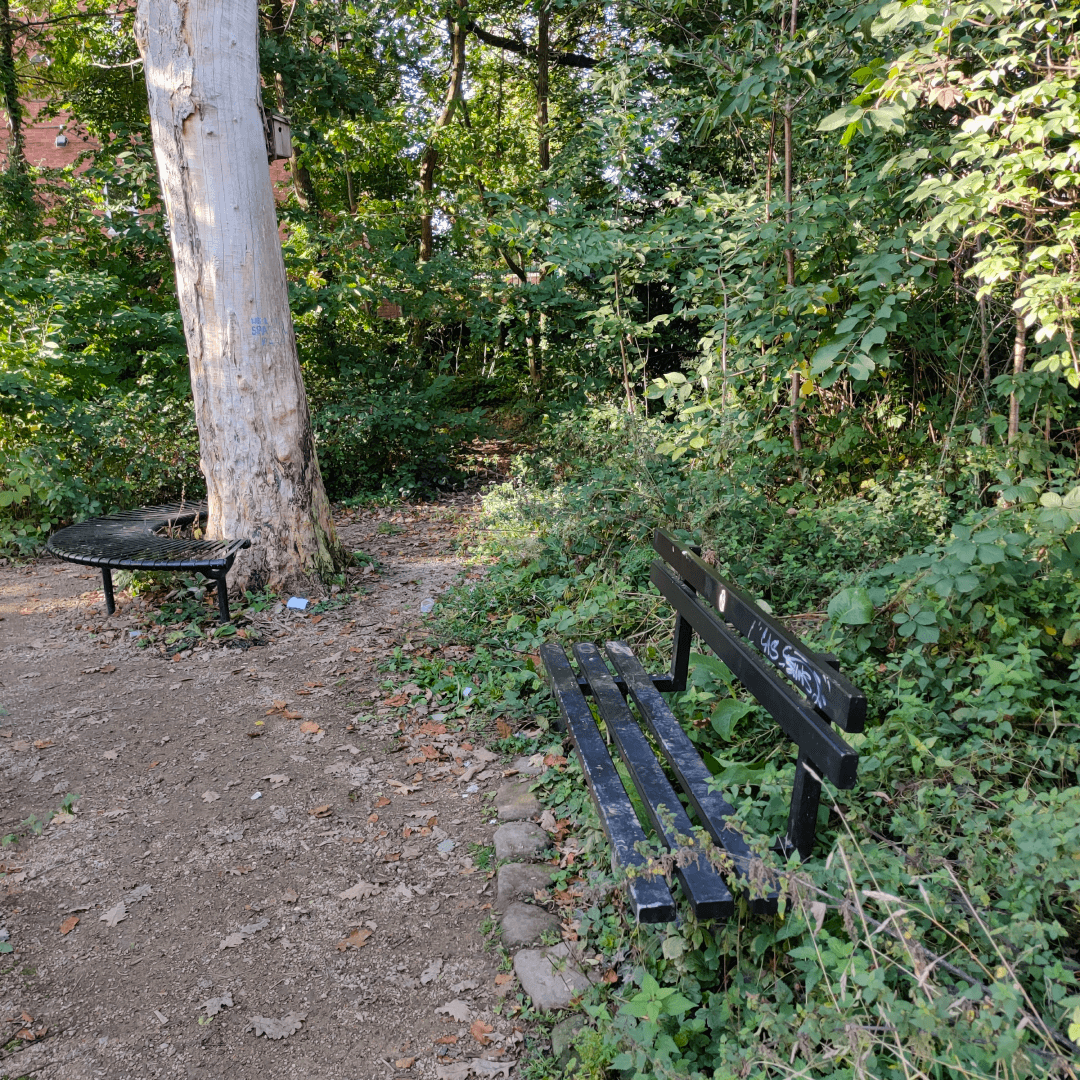 Hartley Avenue Park