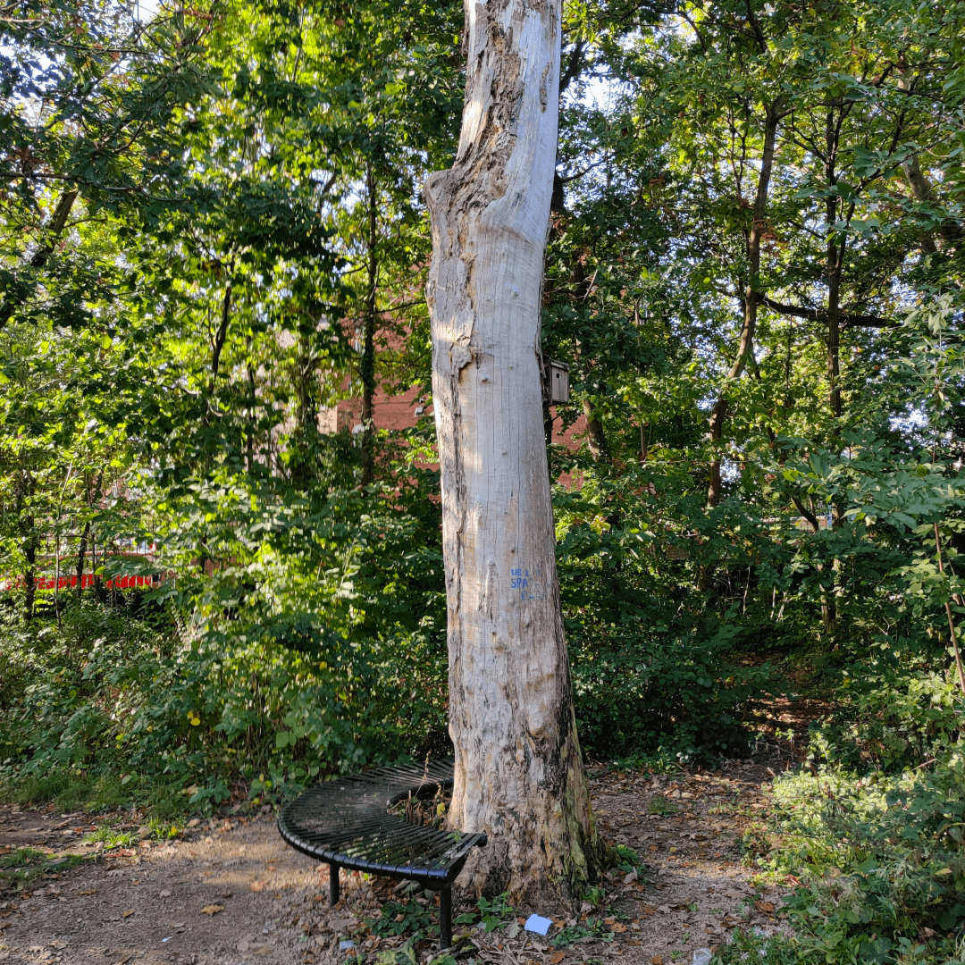 Hartley Avenue Park