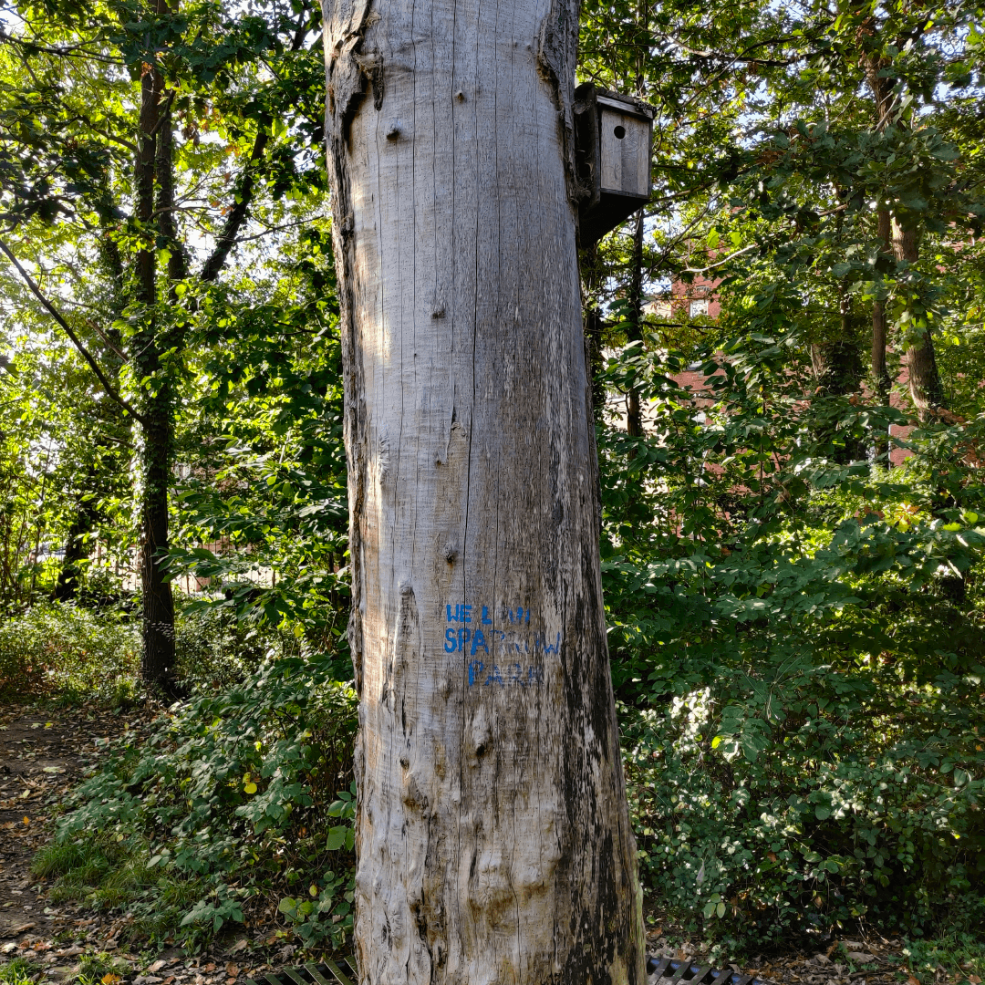 Hartley Avenue Park