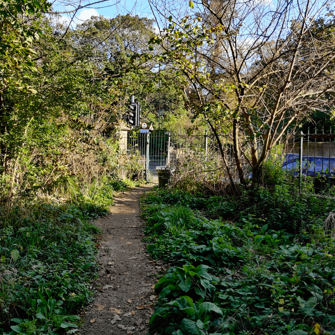 Hartley Avenue Park