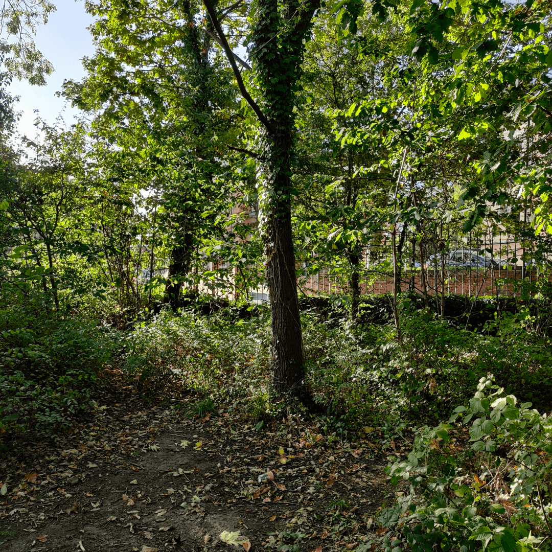 Hartley Avenue Park