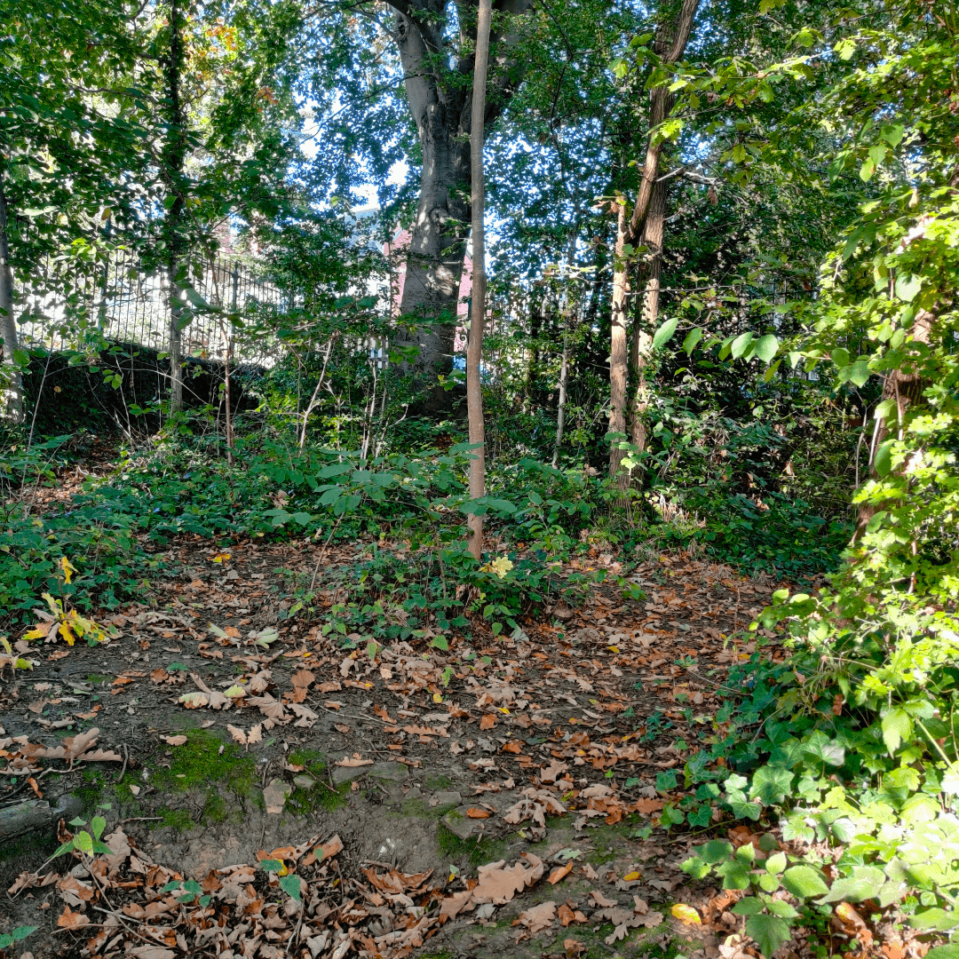Hartley Avenue Park