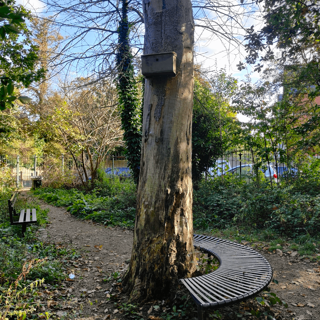 Hartley Avenue Park
