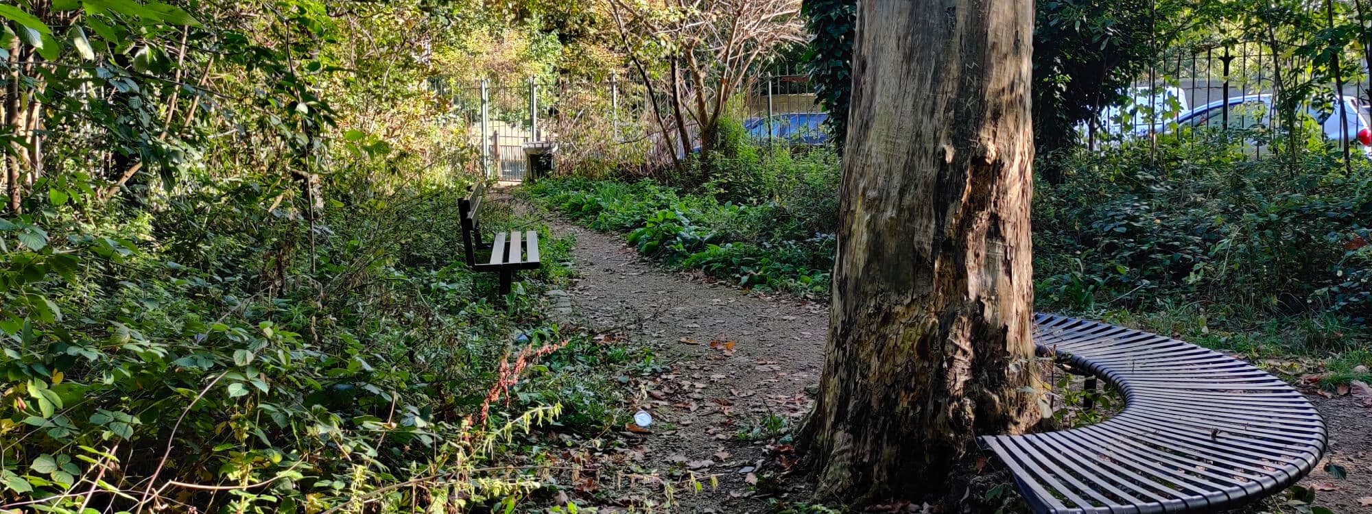 Hartley Avenue Park