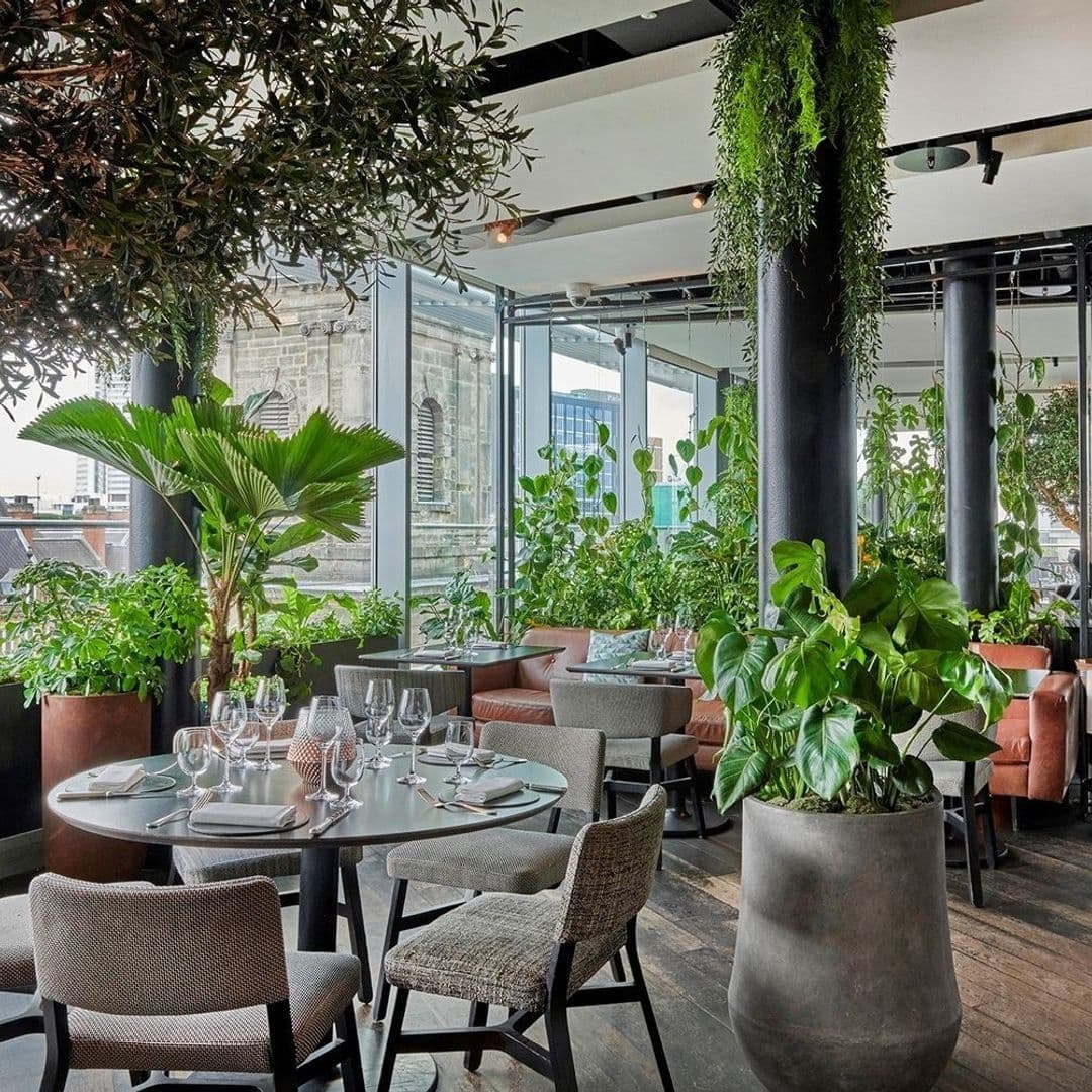 Interior of Crafthouse with a modern dining setup surrounded by lush green potted plants and natural light filtering through large windows.