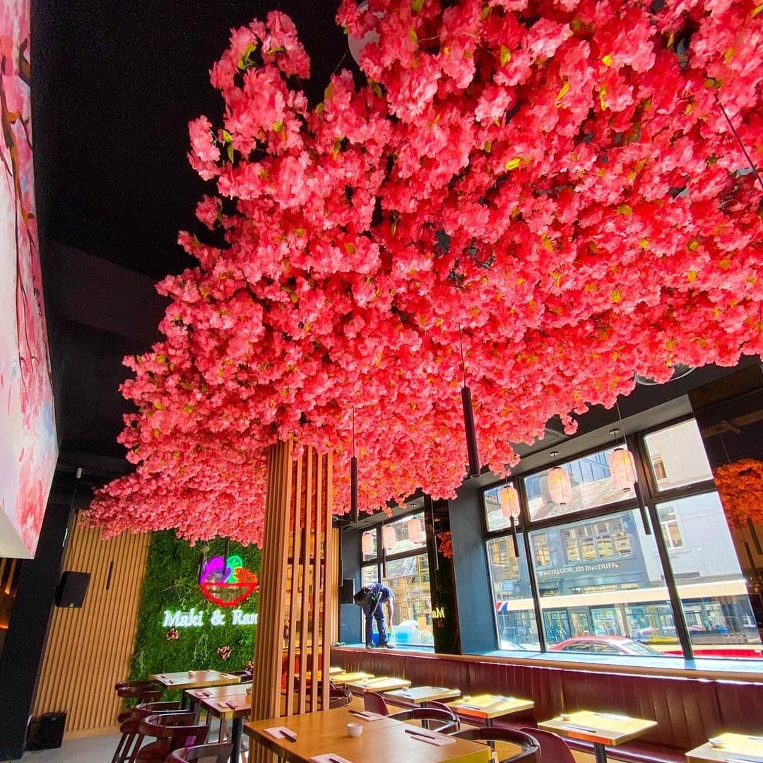 Interior of Maki & Ramen restaurant with vibrant pink cherry blossom decor overhead, wooden tables, and a greenery wall with neon sign.