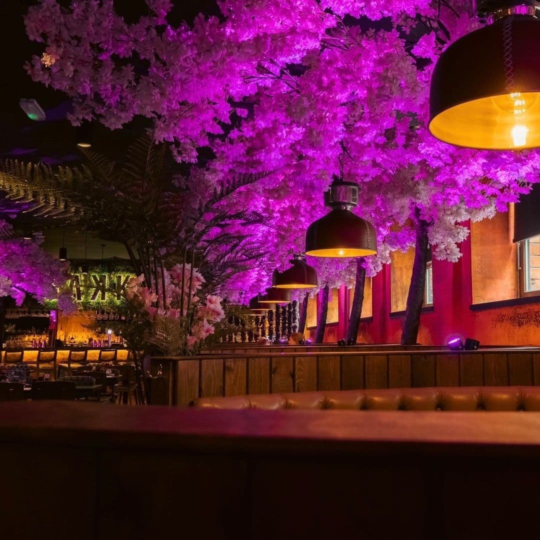 Vibrant interior of Sakku with pink illuminated cherry blossom trees, stylish hanging lamps, and cozy seating area.