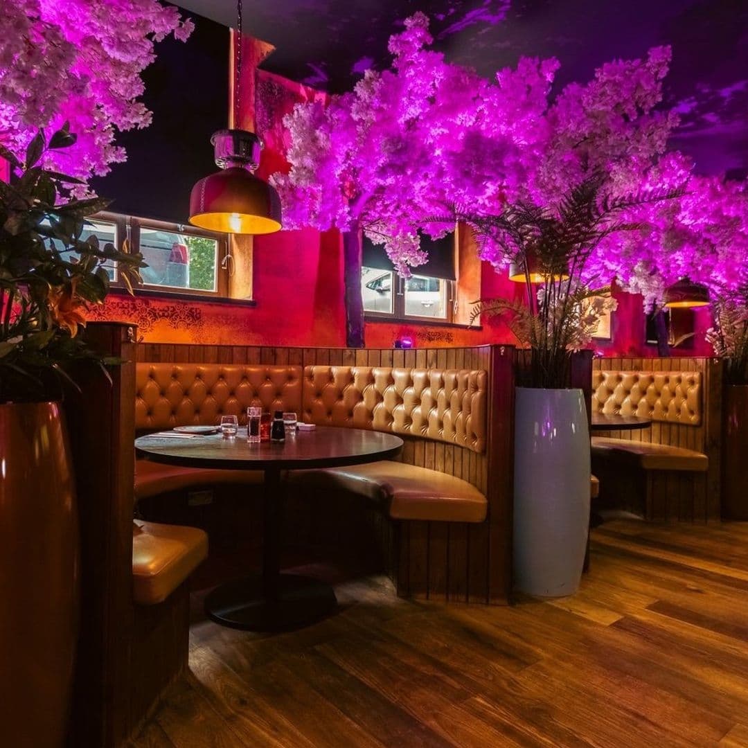 Interior of Sakku with vibrant purple lighting accentuating cherry blossom decorations, cozy tan leather booths, and wooden flooring.