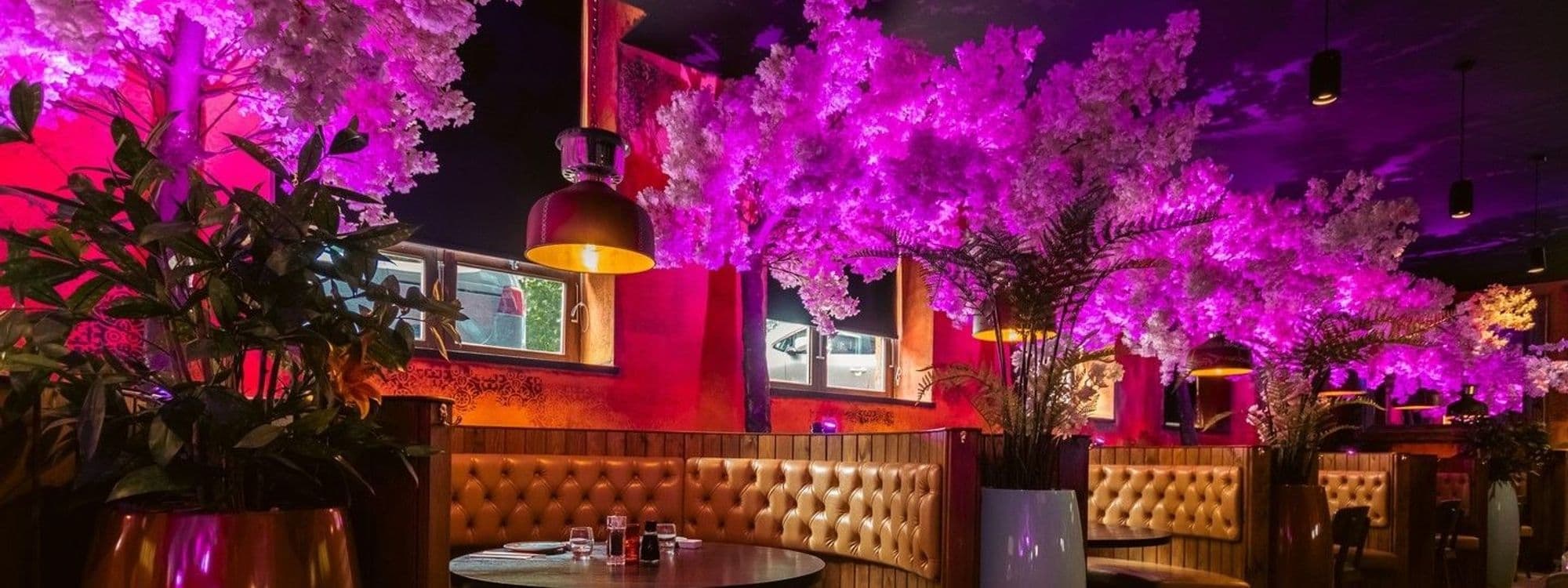 Vibrant interior of Sakku with pink illuminated cherry blossom trees, cozy tufted booth seating, and stylish hanging lamps.