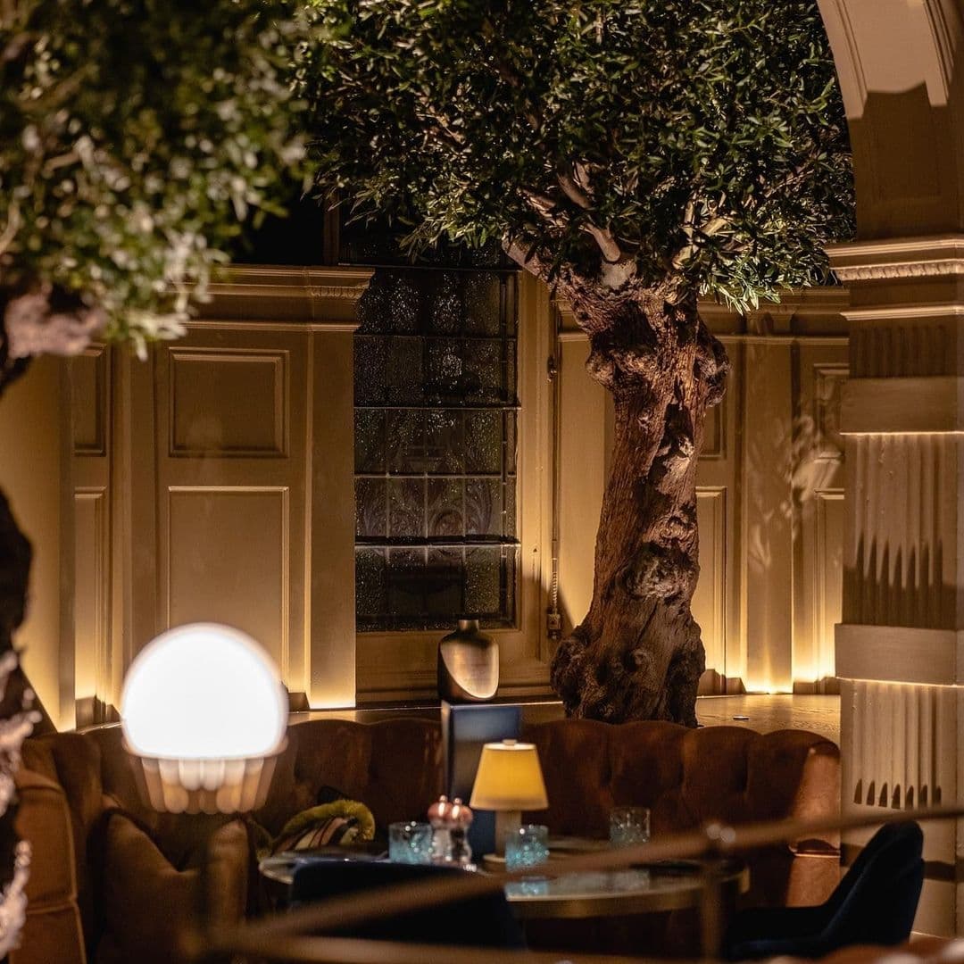 Elegant indoor setting at The Cut & Craft featuring warm lighting, a large olive tree centerpiece, leather seating, and decorative lamps.