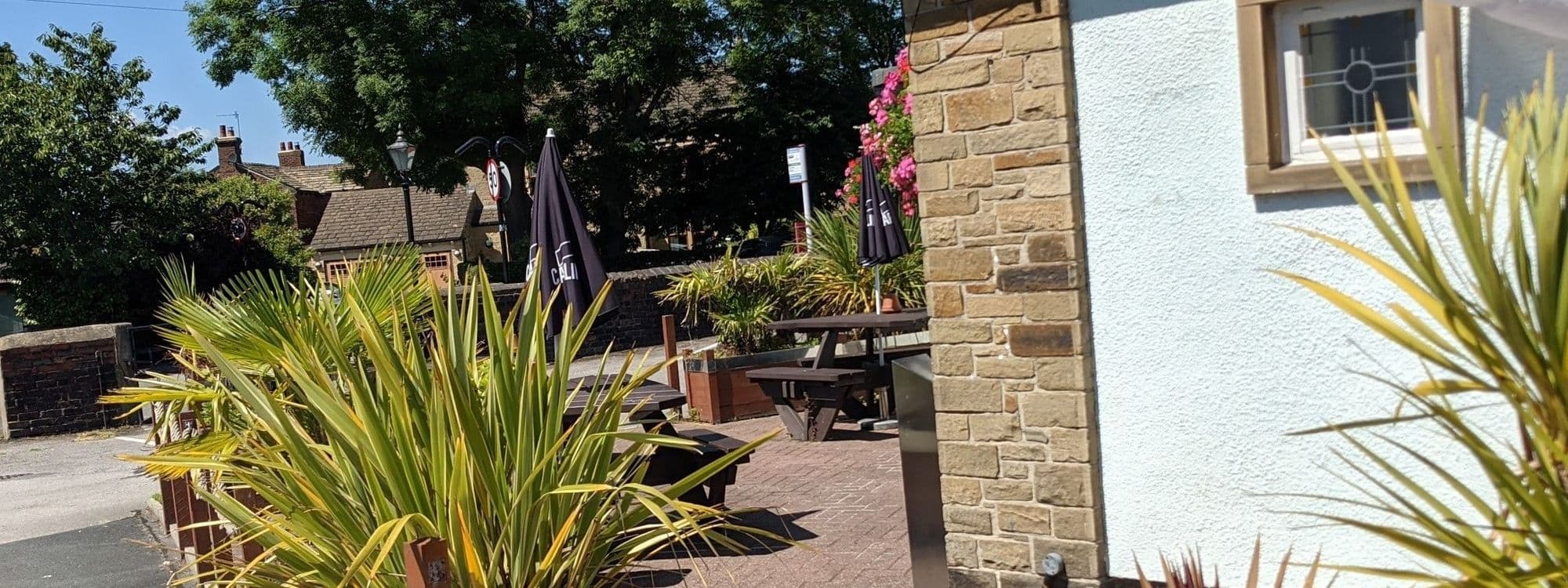 Sunny outdoor seating area with wooden benches and lush green plants at The Woodcock New Farnley.