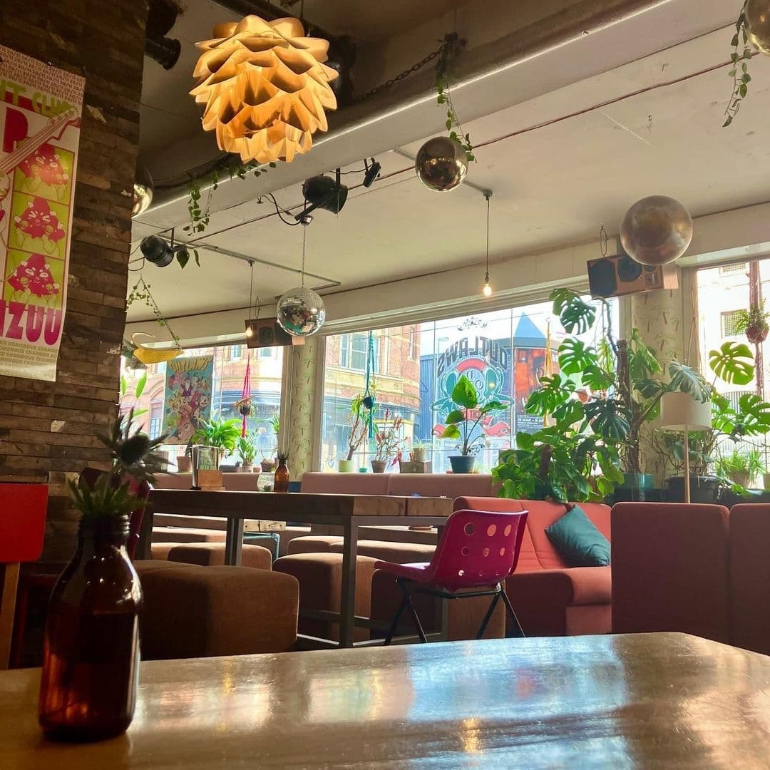 Interior of Outlaws Yacht Club featuring eclectic decor with hanging plants, disco balls, and a unique pendant light. Comfortable seating with a view of the street outside through large windows.