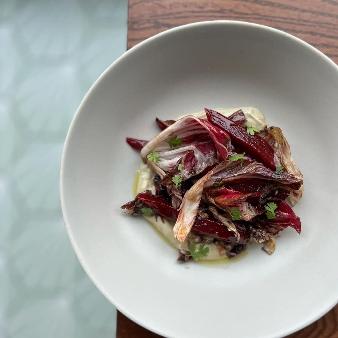Gourmet dish featuring red and white endive leaves on a creamy sauce, served on a white plate at Hern restaurant.