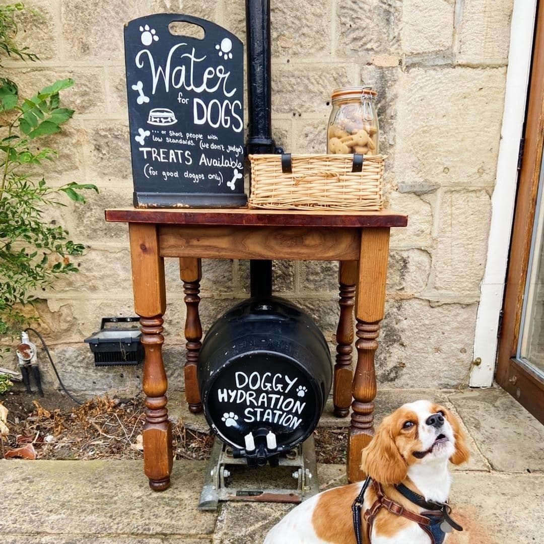 Dog sitting by a 'Doggy Hydration Station' with water and treats at The Roundhay Fox.