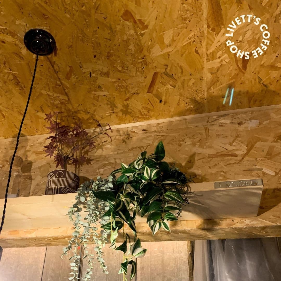 Interior view of Livett's Coffee Shop featuring a rustic wooden shelf with potted green plants and a decorative birdcage, against a textured wooden wall with the shop's logo.