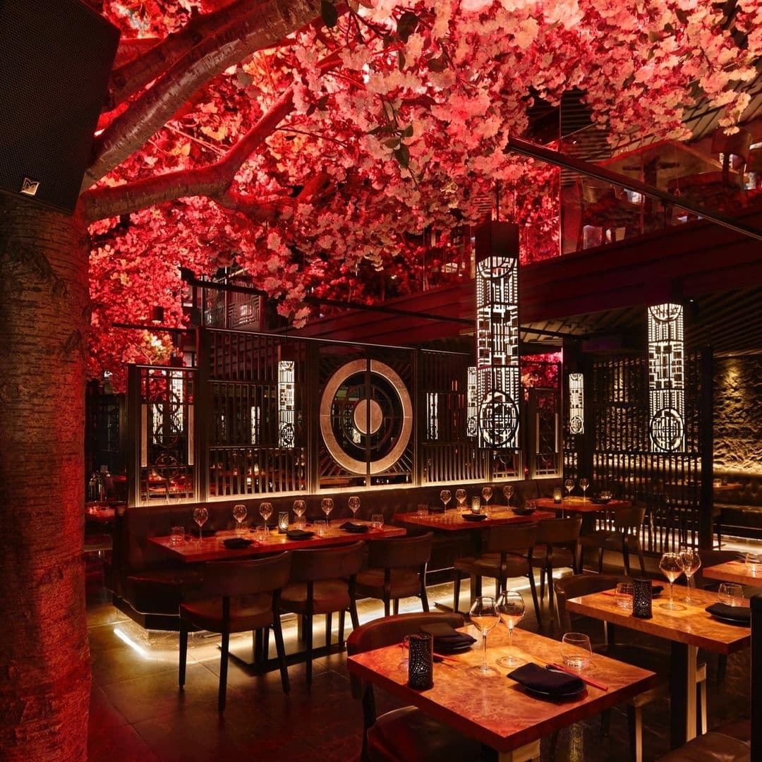 Interior of Tattu restaurant with dim ambient lighting, pink cherry blossoms overhead, and Asian-inspired decor.