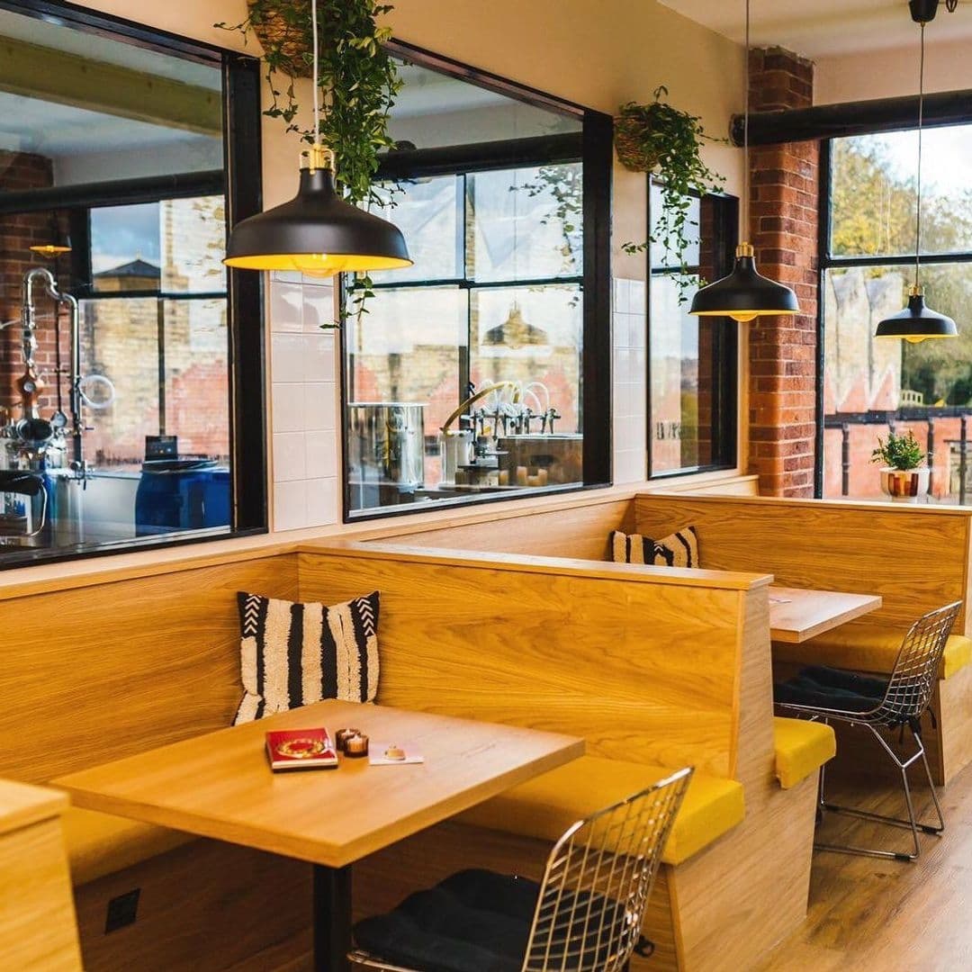 Interior of Test Bar featuring wooden booths with cushions, hanging green plants, pendant lights, and a view into the brewing area through large windows.