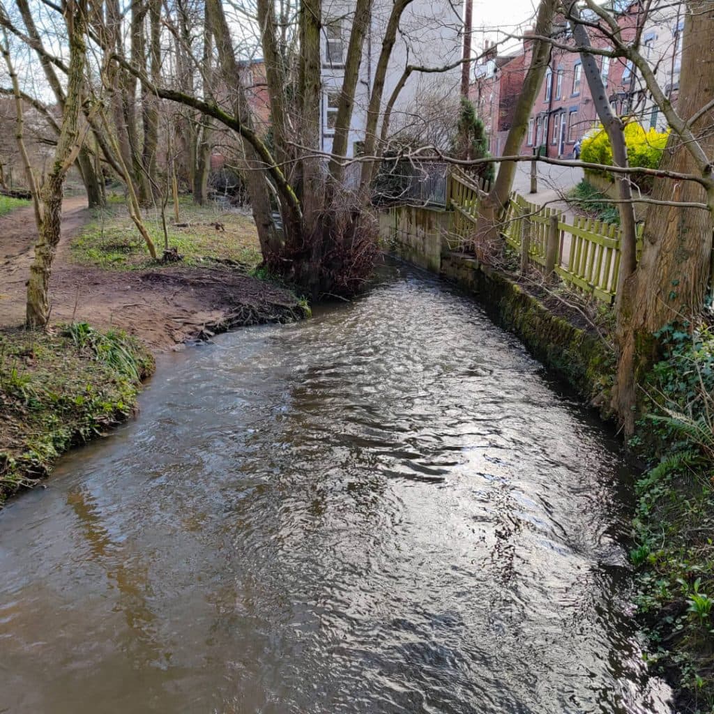 First glimpse of the Meanwood Beck along the Meanwood Valley Trail