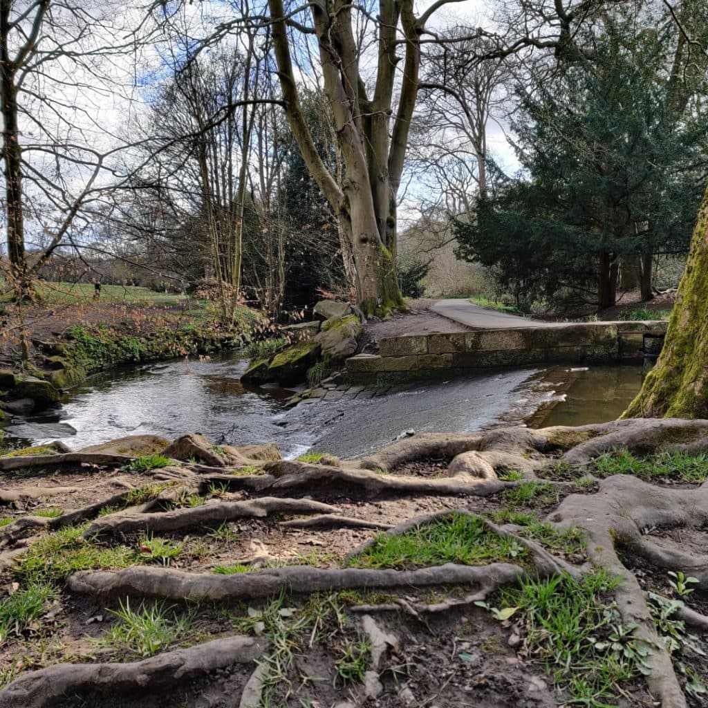 Meanwood Beck in Meanwood Park along the Meanwood Valley Trail