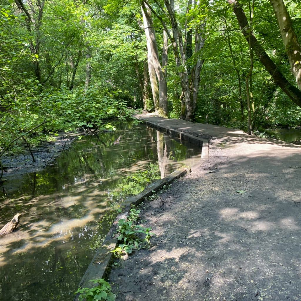 Small footpath to the Hollies from Meanwood Park along the Meanwood Valley Trail