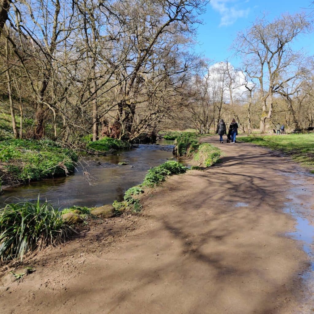 Muddy path from Meanwood Park along the Meanwood Valley Trail