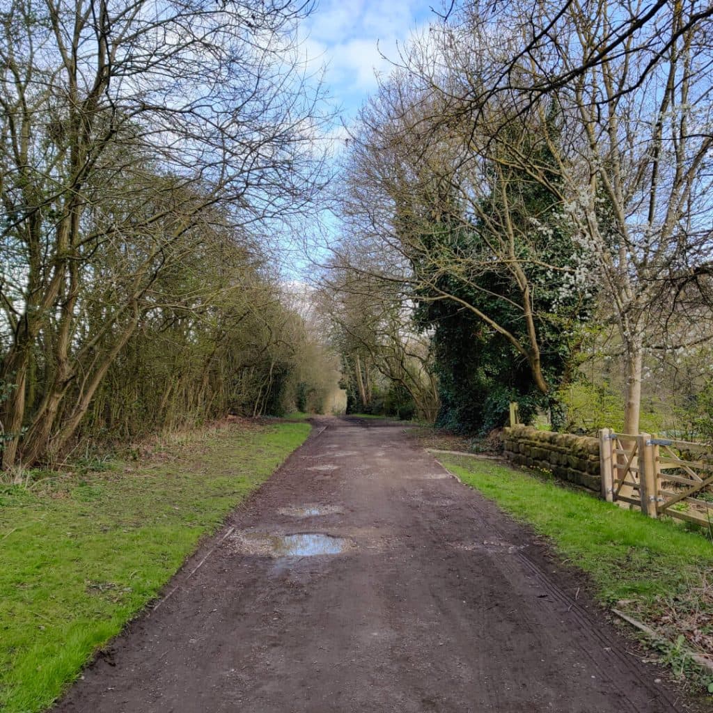 Road along houses outside of Meanwood Park along the Meanwood Valley Trail