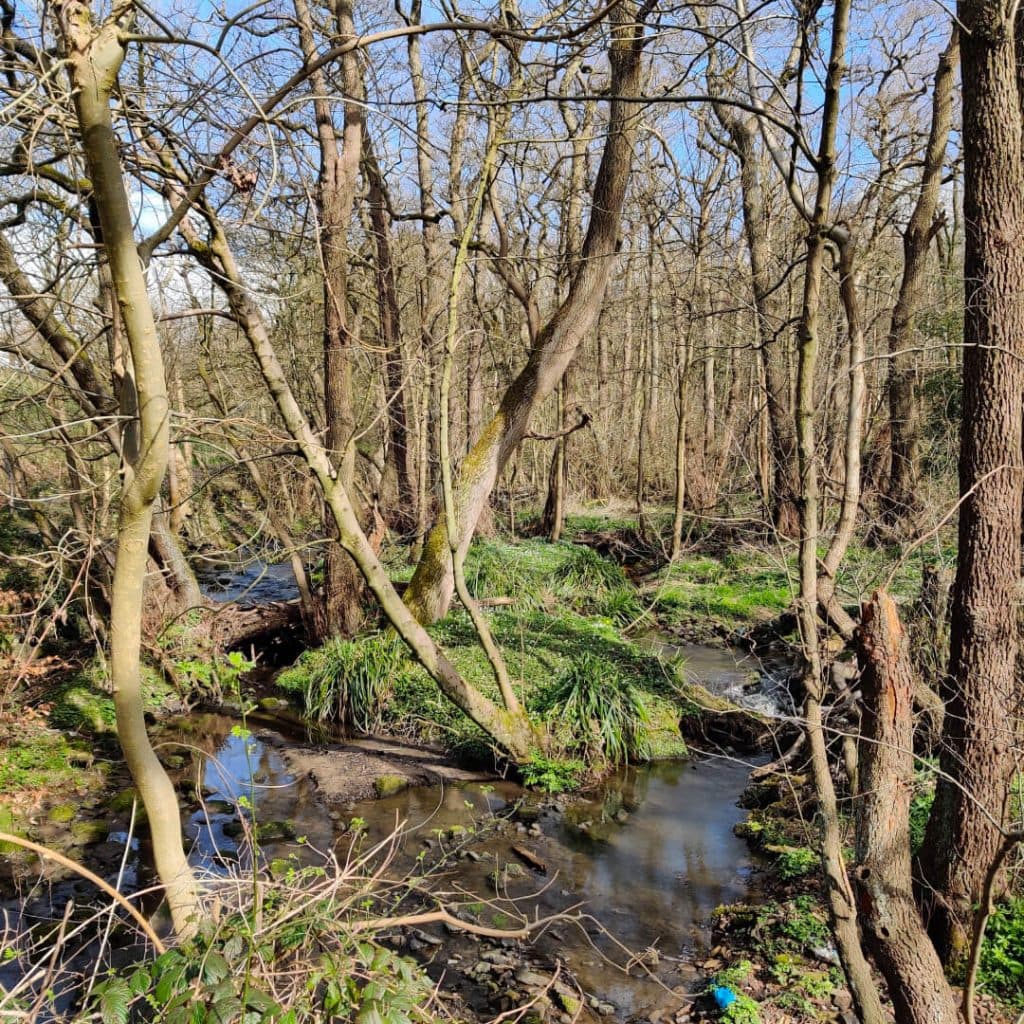 Collection of small streams from Meanwood Beck along the Meanwood Valley Trail