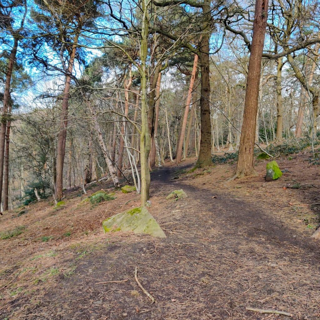Footpath through Scotland Wood along the Meanwood Valley Trail