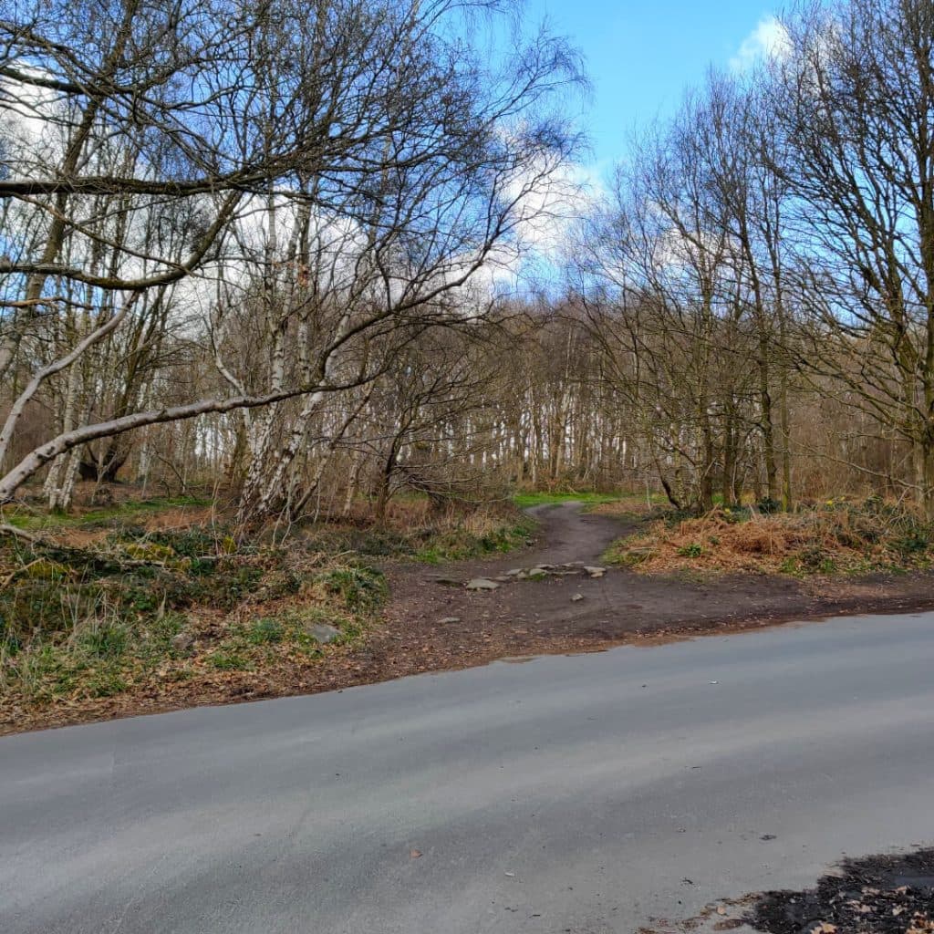 Crossing the road from Scotland Wood to Adel Wood along the Meanwood Valley Trail