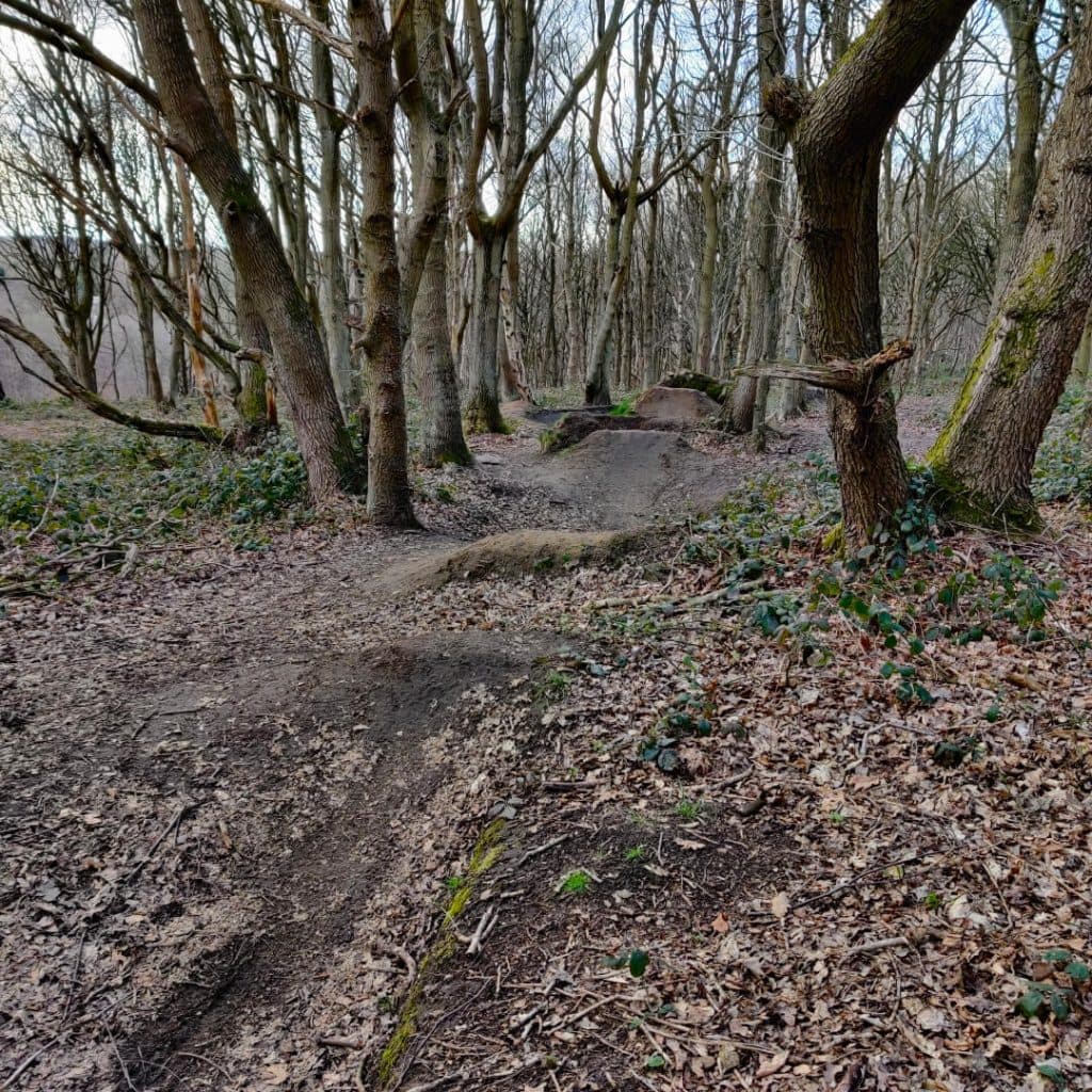 Bike jumps in Scotland Wood