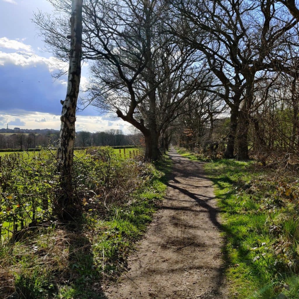 Final stretch of footpath for the Meanwood Valley Trail heading to Golden Acre Park