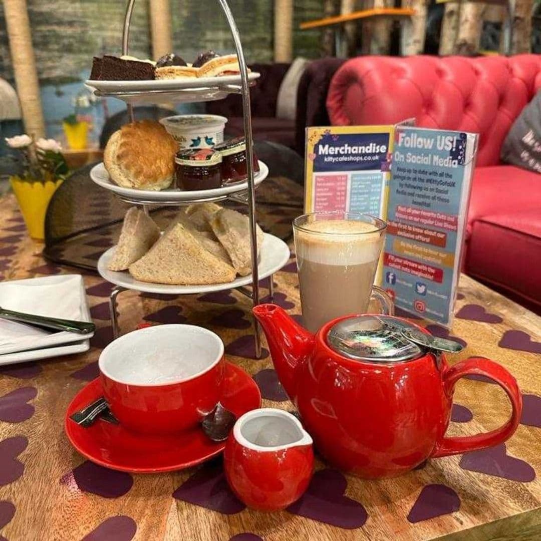 Afternoon tea setup at Kitty Cafe with a red teapot, cups, and a three-tiered serving stand with sandwiches, scones, and desserts, on a table with a promotional flyer.