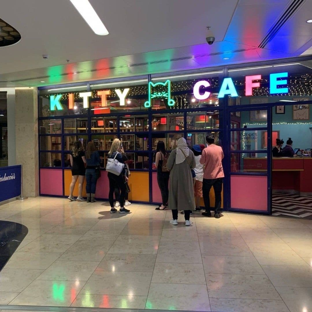 Entrance of Kitty Cafe with neon signage, people waiting in line, and colorful interior visible through glass doors.