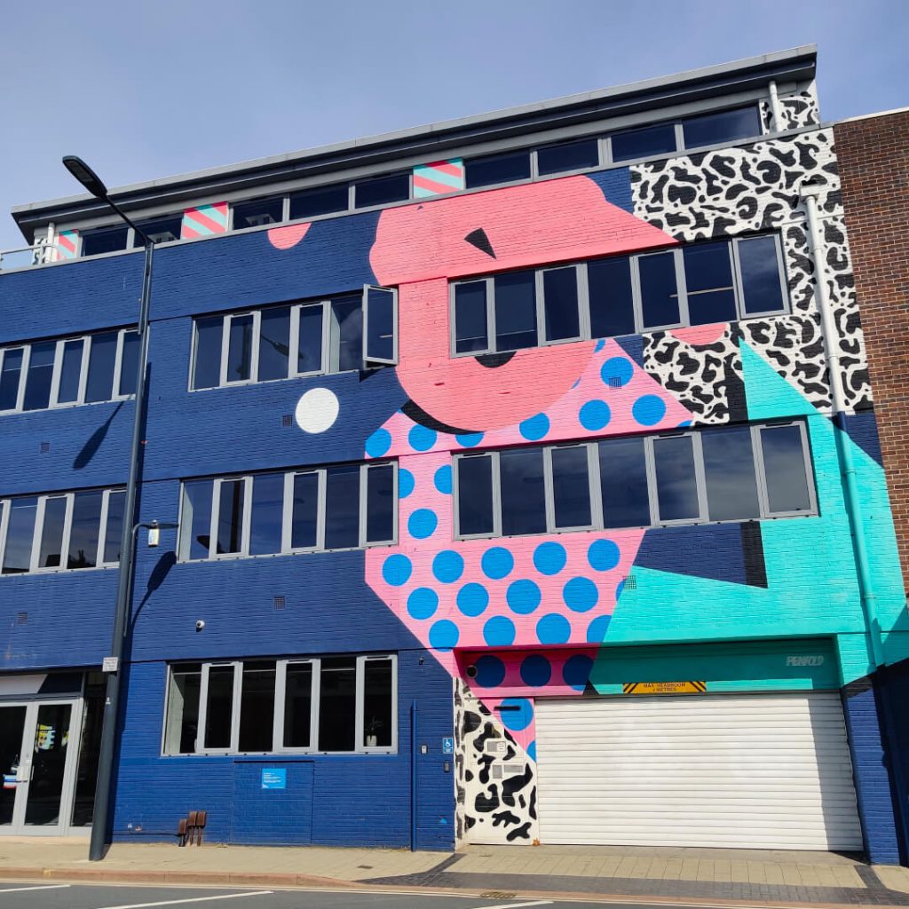 Mr Penfold's Graphical House Mural Leeds Street Art