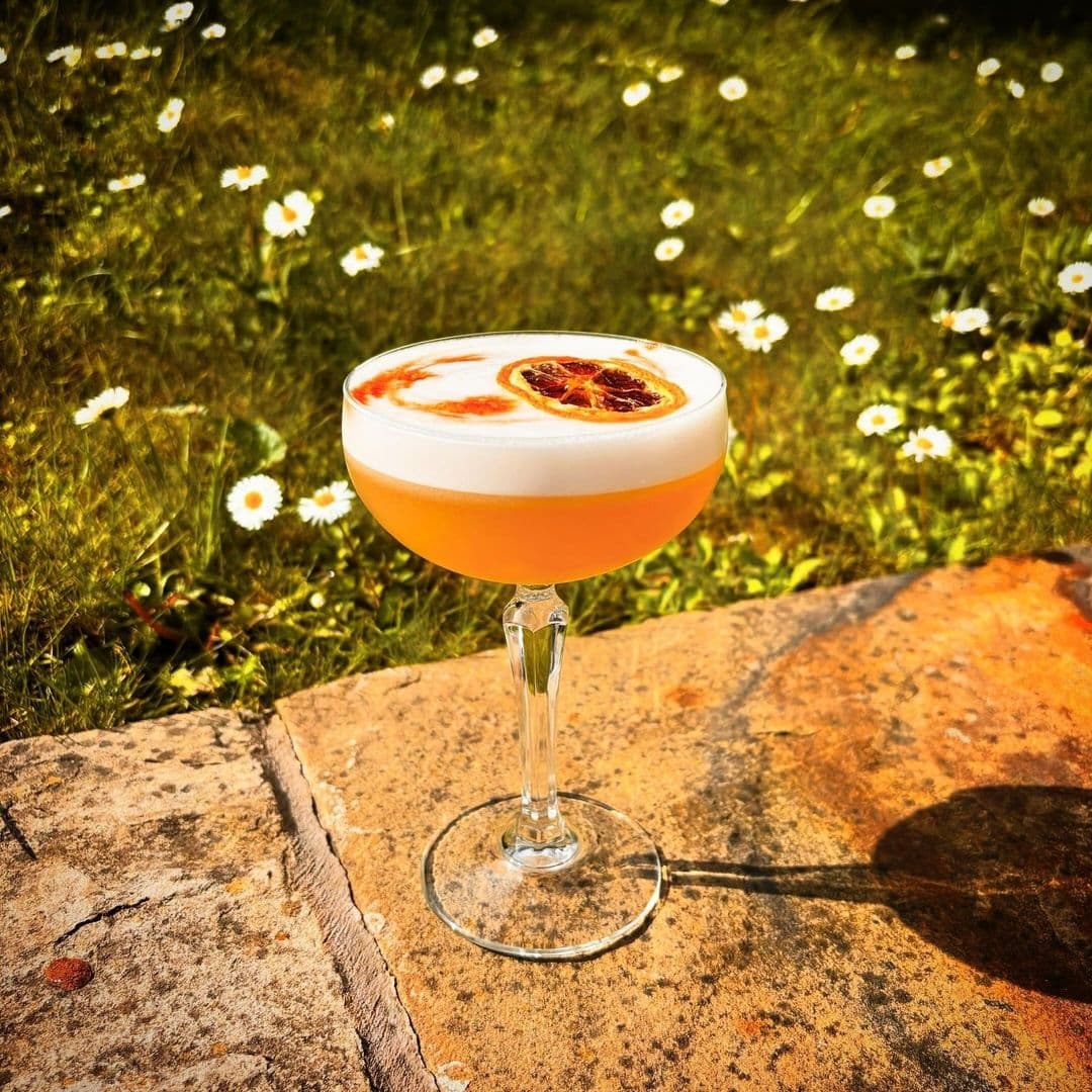 A refreshing cocktail with a frothy top and a slice of dried orange garnish, served in an elegant glass, set against a sunny Saint Jude meadow dotted with white daisies.