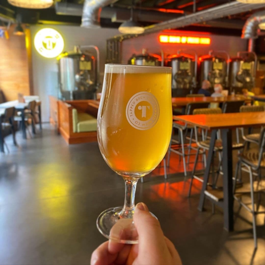 Hand holding a glass of beer with the Tapped brewery logo, inside the Tapped brewpub with brewing equipment and seating area in the background.