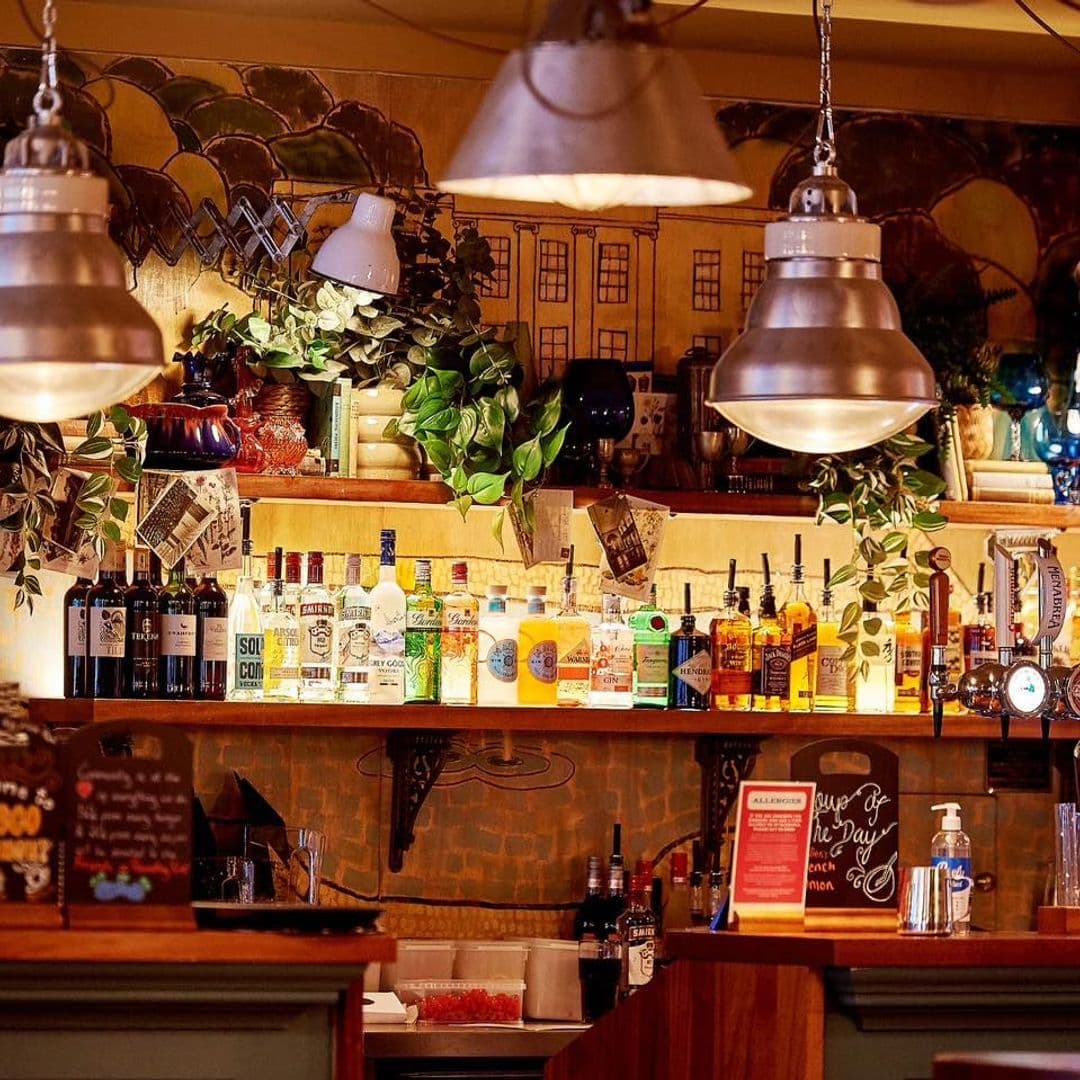 Cozy Hesco Lounge bar interior with an array of spirits on shelves, pendant lighting, and decorative plants.