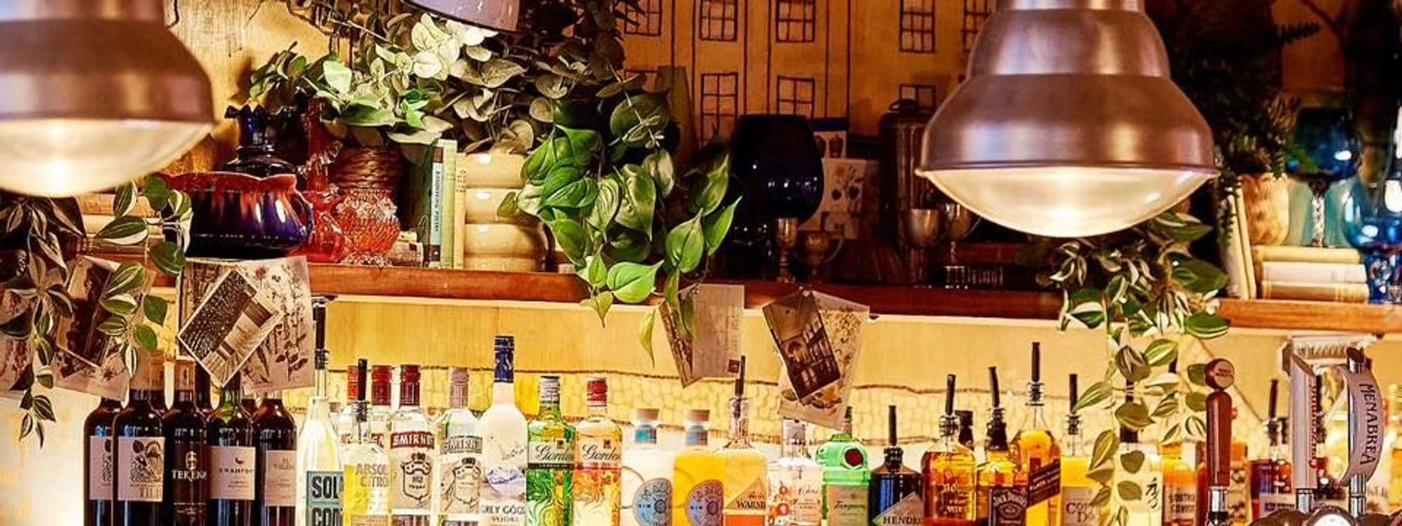 Interior view of Hesco Lounge bar with an array of spirits and wines on shelves, pendant lights, and decorative green plants.