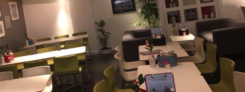 Brightly lit cafe with modern decor, featuring green chairs, white tables, and plants, creating a cozy dining atmosphere.